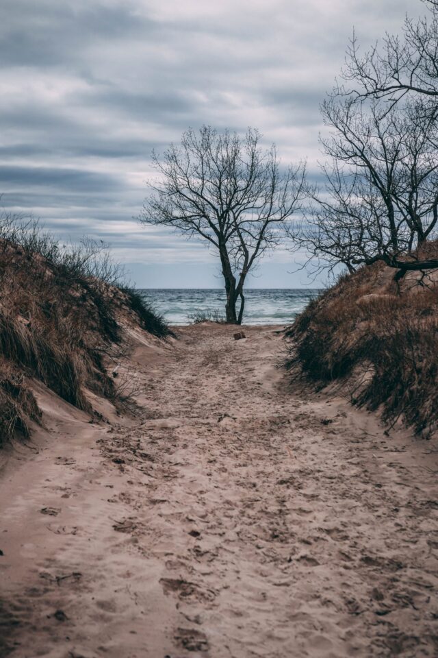 Just Call it “The County”